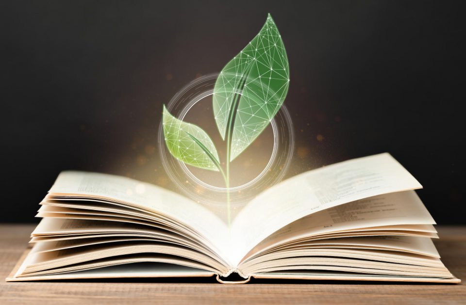 digital-hologram-form-young-plant-grows-out-open-book (1)